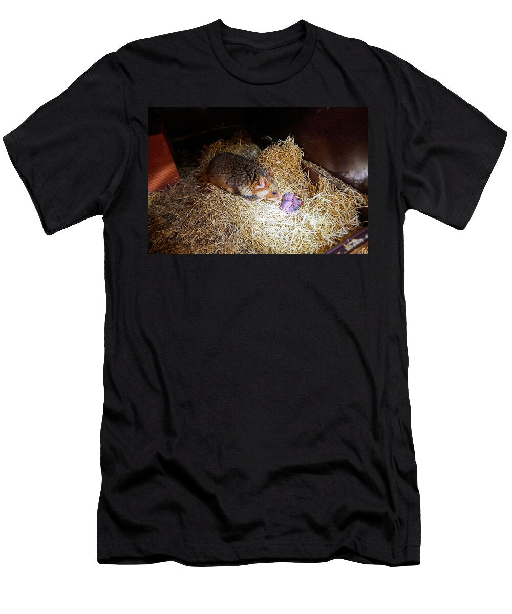 1 Female Common Hamster with Her Newborn Babies Age 3 Days Eric Baccega Natureplcom T-Shirt