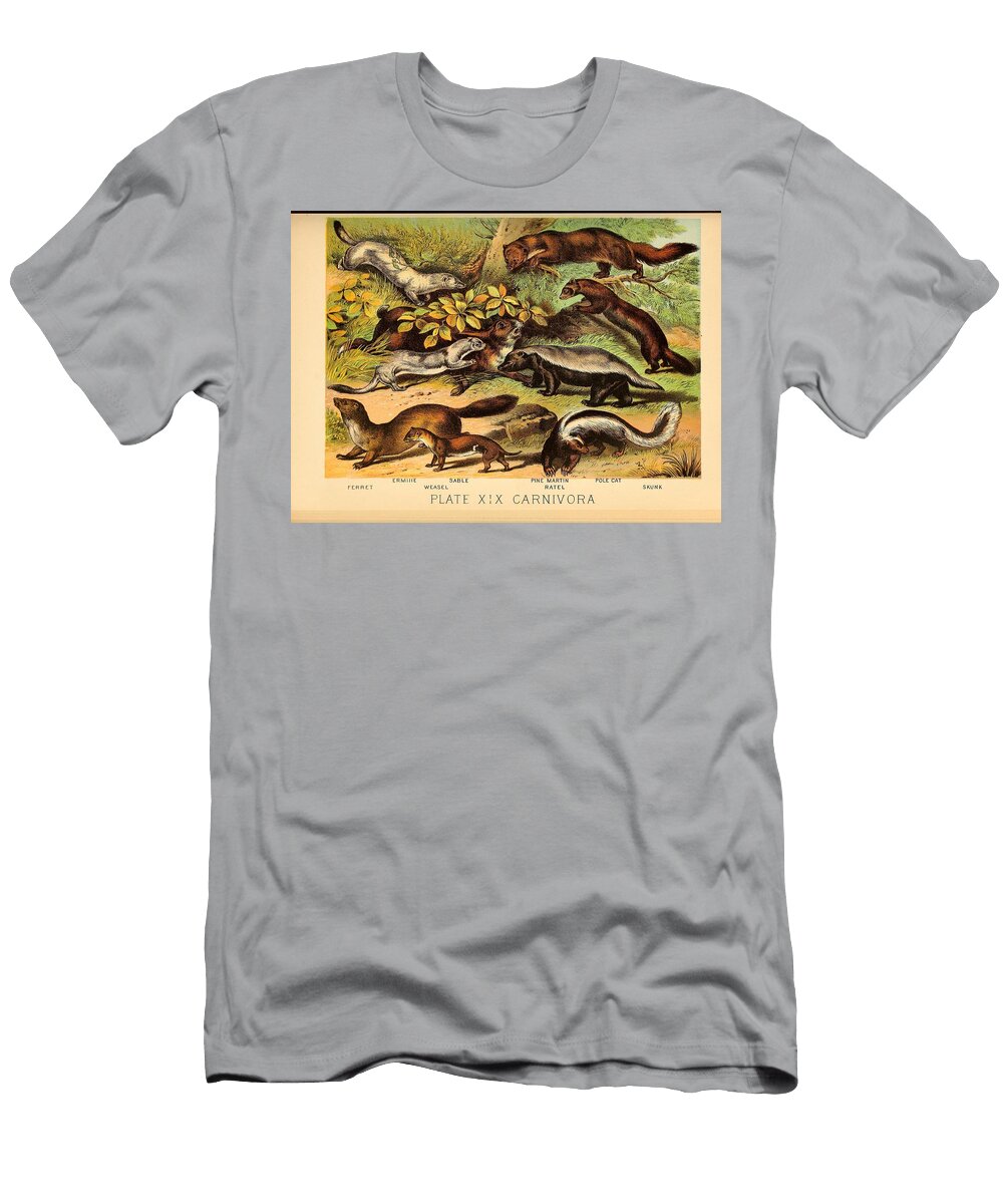 1 Ferret Ermine Sable Weasel Pine Martin Ratel Pole Cat Skunk Zoologist T-Shirt
