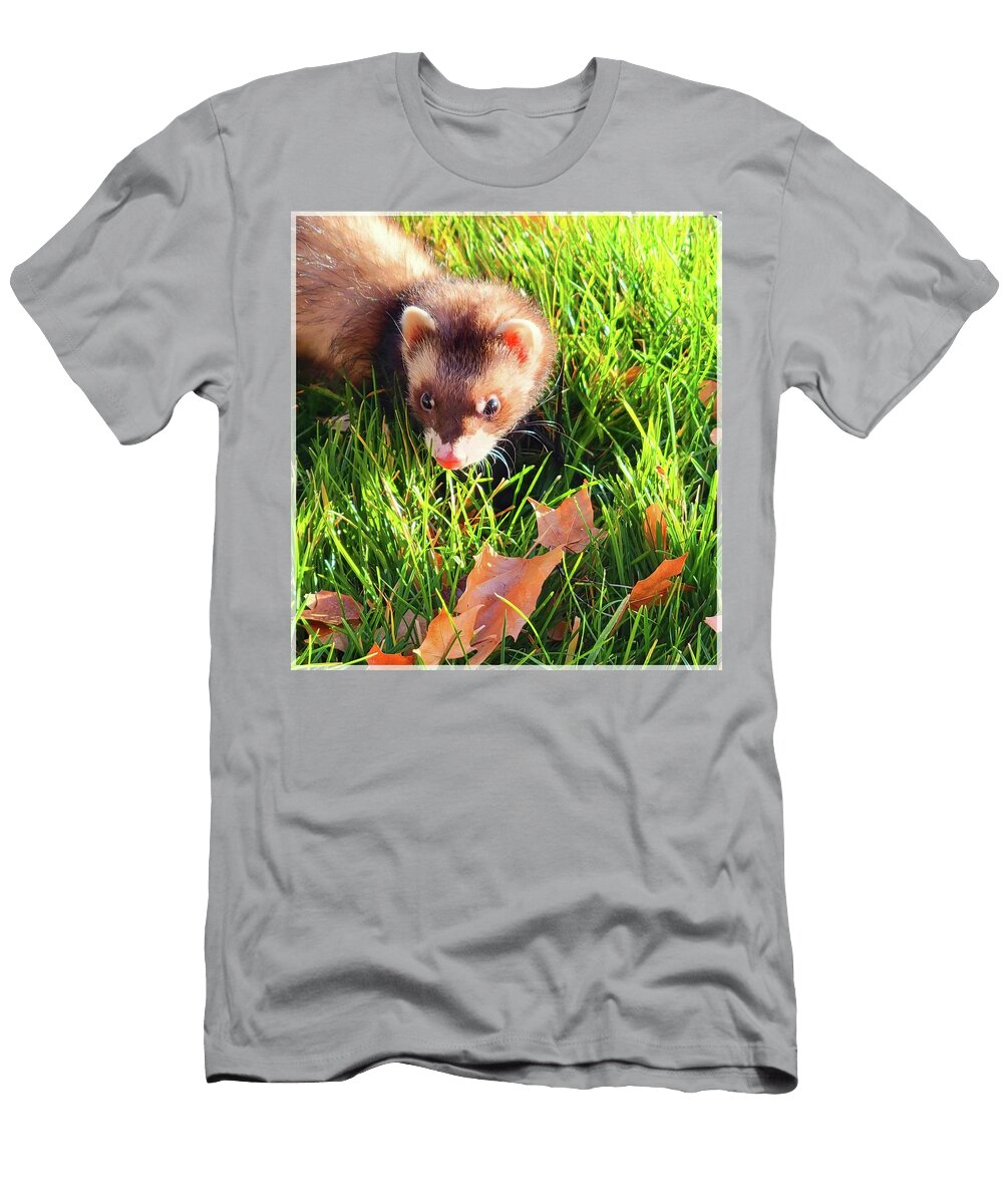 1 Furry Friend Jessica Martyniuk T-Shirt
