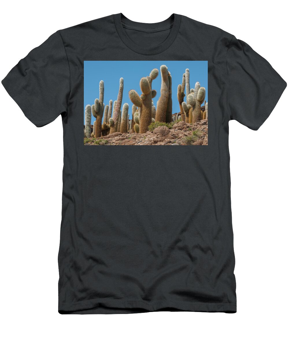 1 Giant Cordon Cacti on Incahuasi Island in Salar De Uyuni John Shaw Natureplcom T-Shirt