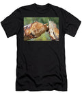 1 Gnaw Marks on Downy Birch Felled By a Eurasian Beaver Alex Hyde Natureplcom T-Shirt