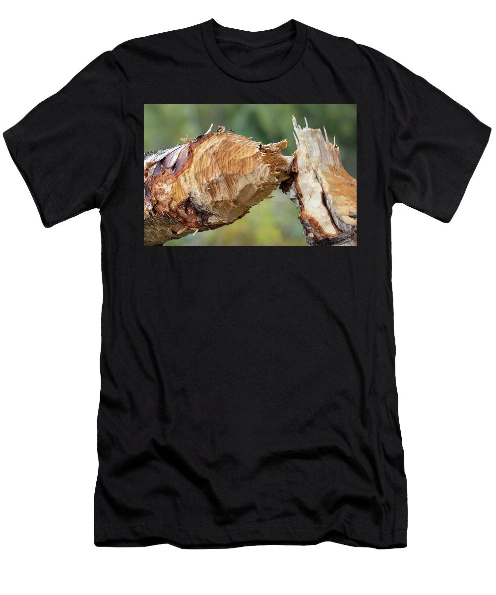 1 Gnaw Marks on Downy Birch Felled By a Eurasian Beaver Alex Hyde Natureplcom T-Shirt