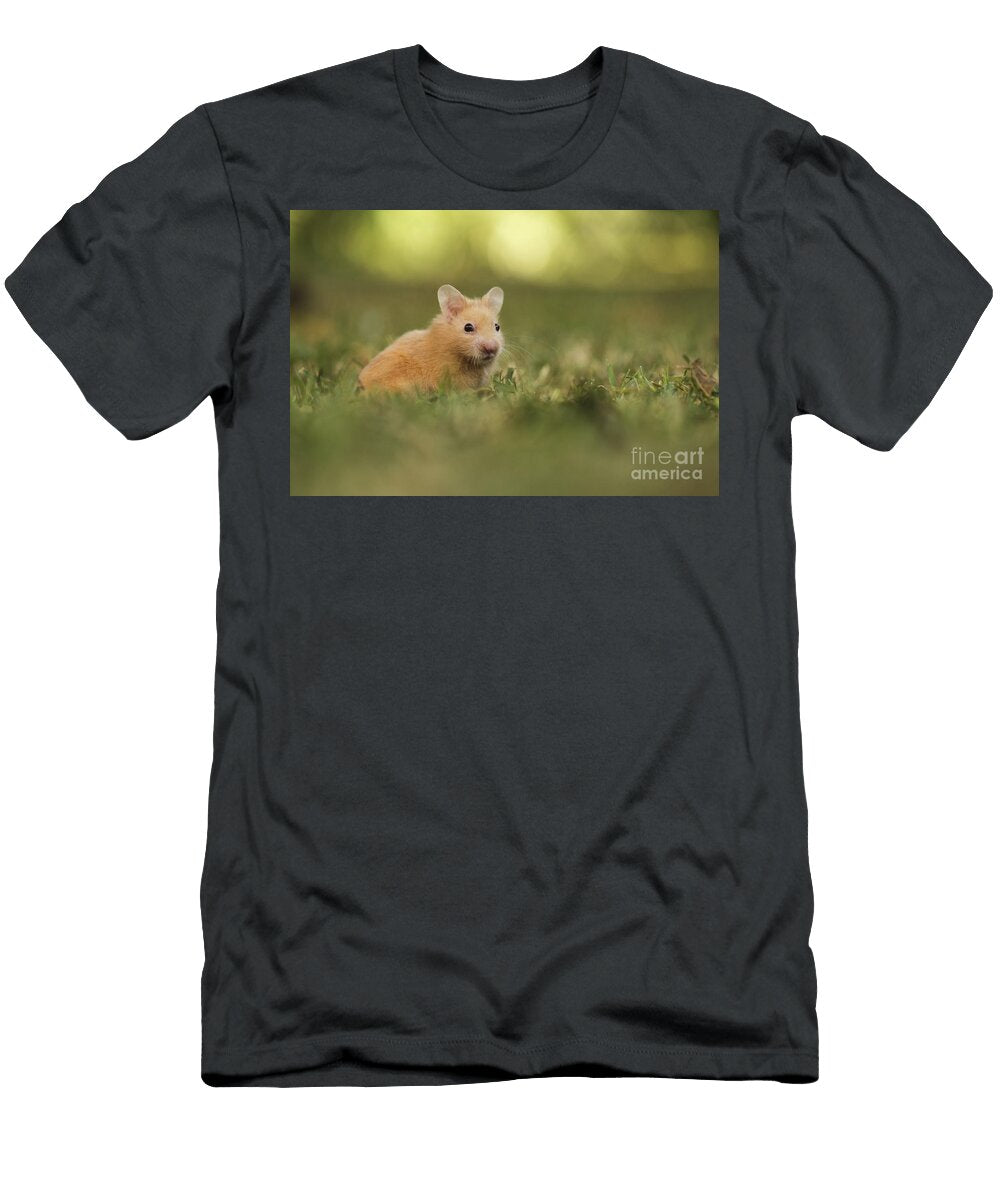 1 Golden Hamster Alon Meir T-Shirt