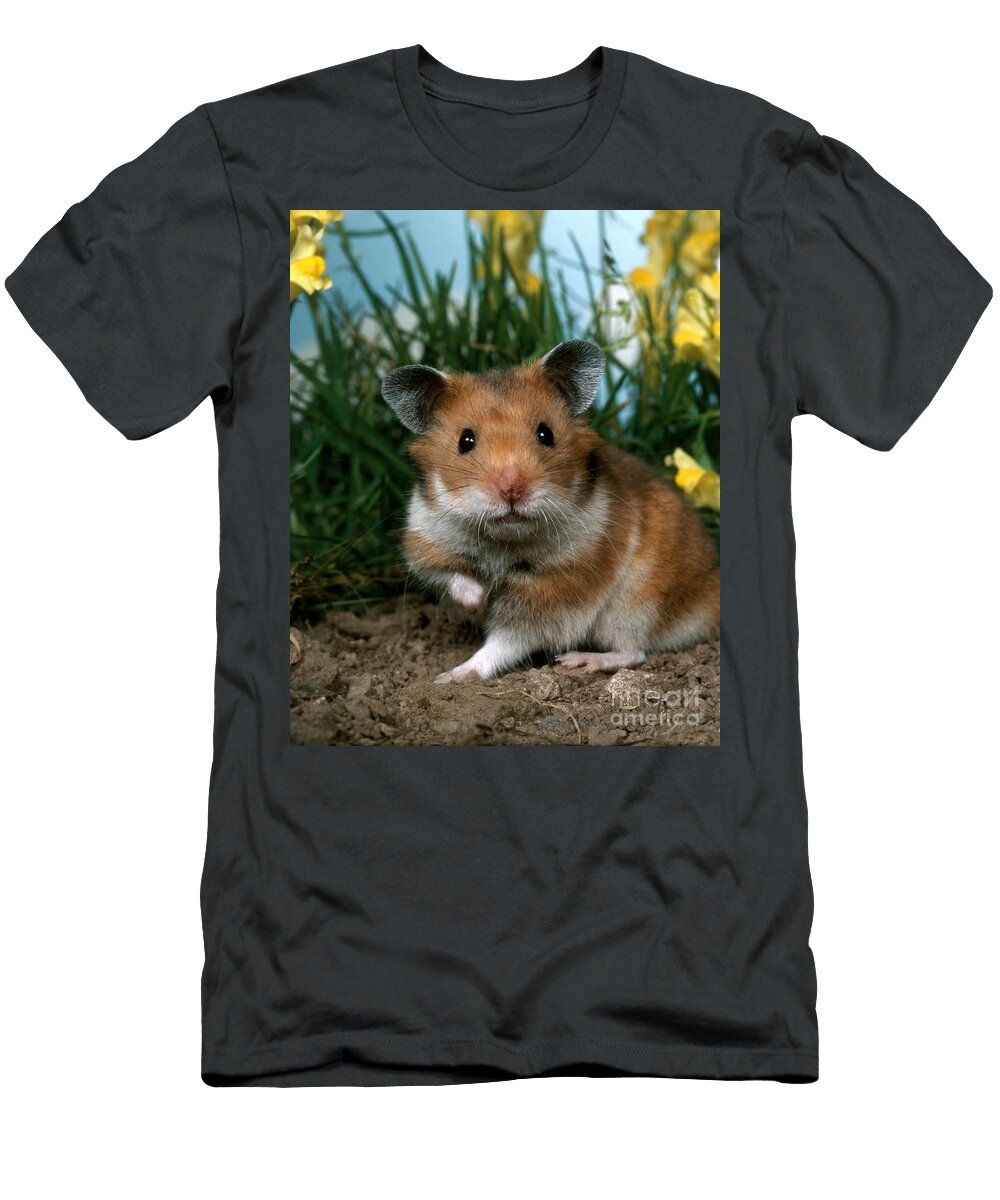 1 Golden Hamster Hans Reinhard T-Shirt