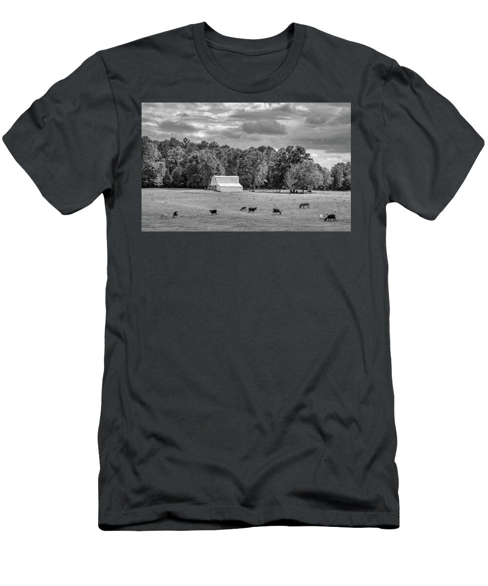 1 Grazing Goats and a Donkey Mountain Dreams T-Shirt