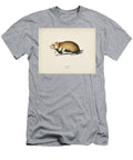 1 Hamster Cricetus Illustrated By Charles Dessalines D Orbigny 1806 1876 Celestial Images T-Shirt