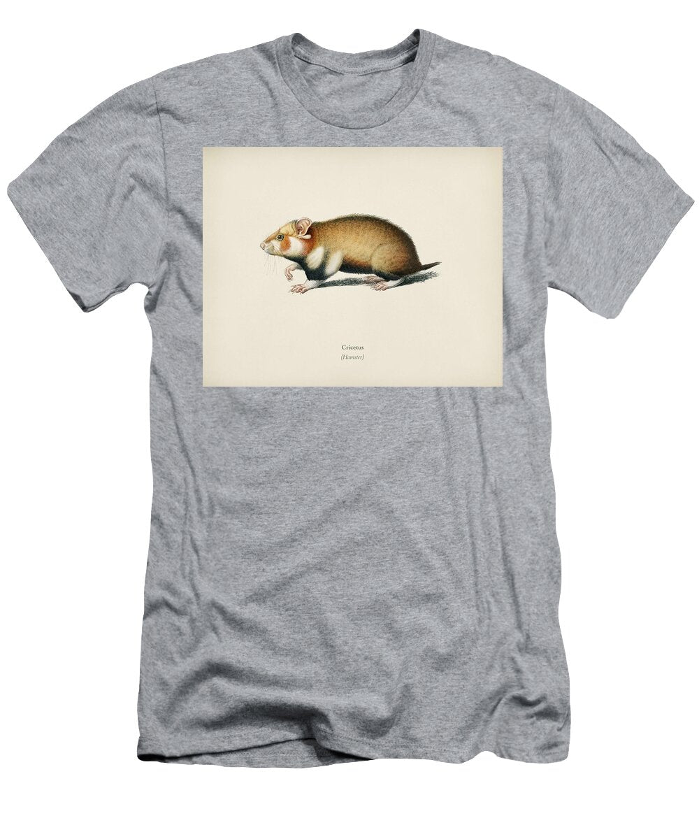 1 Hamster Cricetus Illustrated By Charles Dessalines D Orbigny 1806 1876 Celestial Images T-Shirt