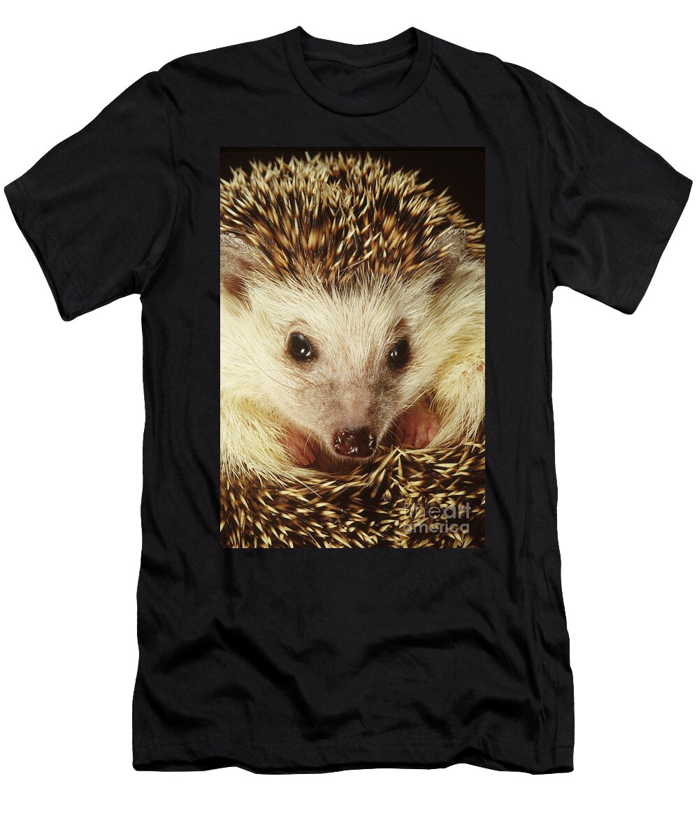 1 Hedgehog Art Wolfe T-Shirt