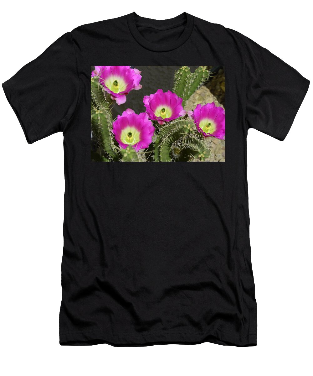 1 Hedgehog Cactus Marilyn Smith T-Shirt