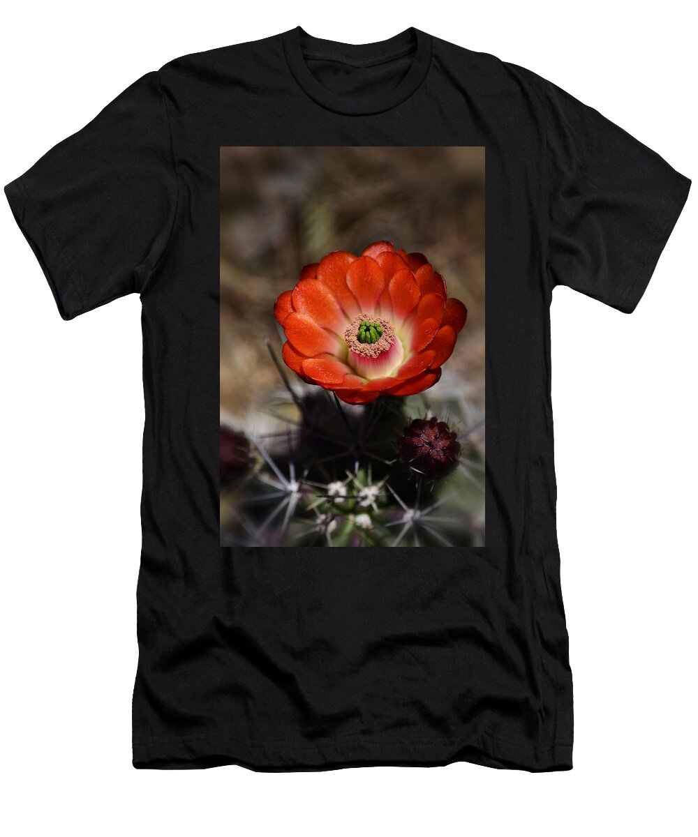 1 Hedgehog Cactus Saija Lehtonen T-Shirt