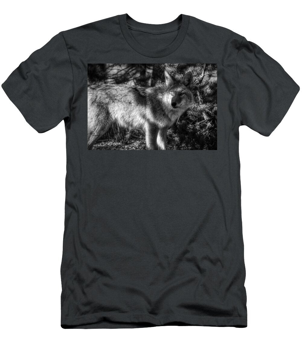 1 Land of the Coyote N P S Neal Herbert T-Shirt