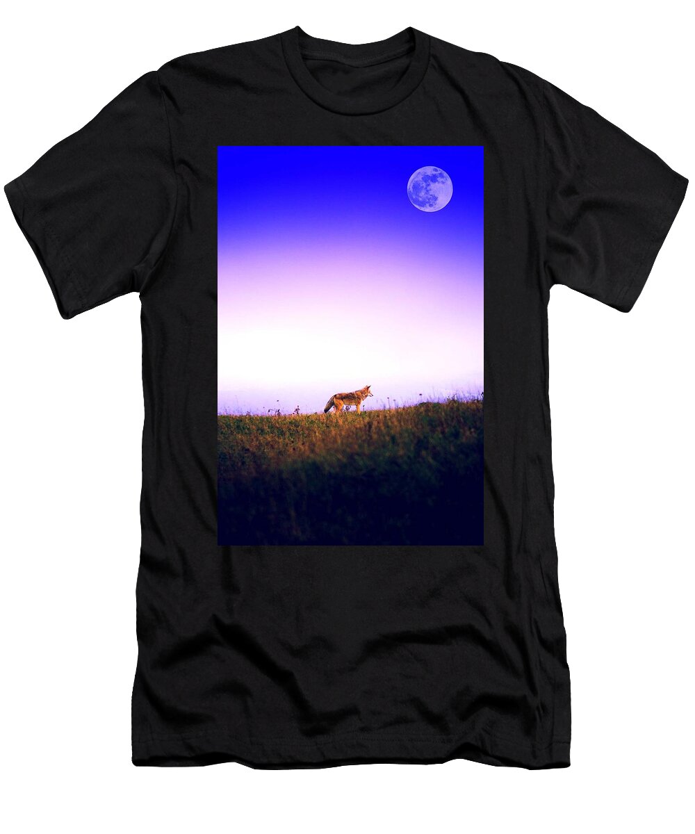1 Lone Wolf Tomales Point Inverness United States 2 Celestial Images T-Shirt
