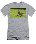 1 Miniature Donkey Foal Jean Louis Klein Marie Luce Hubert T-Shirt