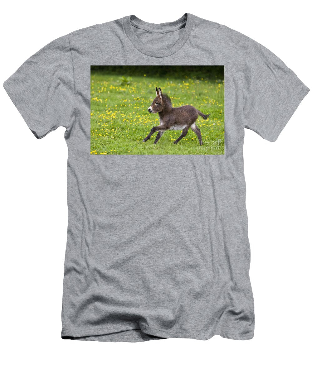1 Miniature Donkey Foal Jean Louis Klein Marie Luce Hubert T-Shirt