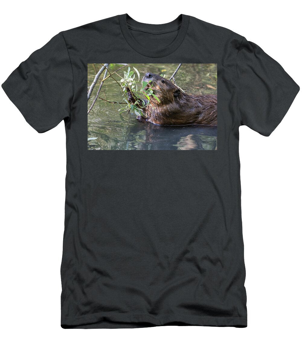 1 North American Beaver Eating Willow Martinez California Suzi Eszterhas Natureplcom T-Shirt