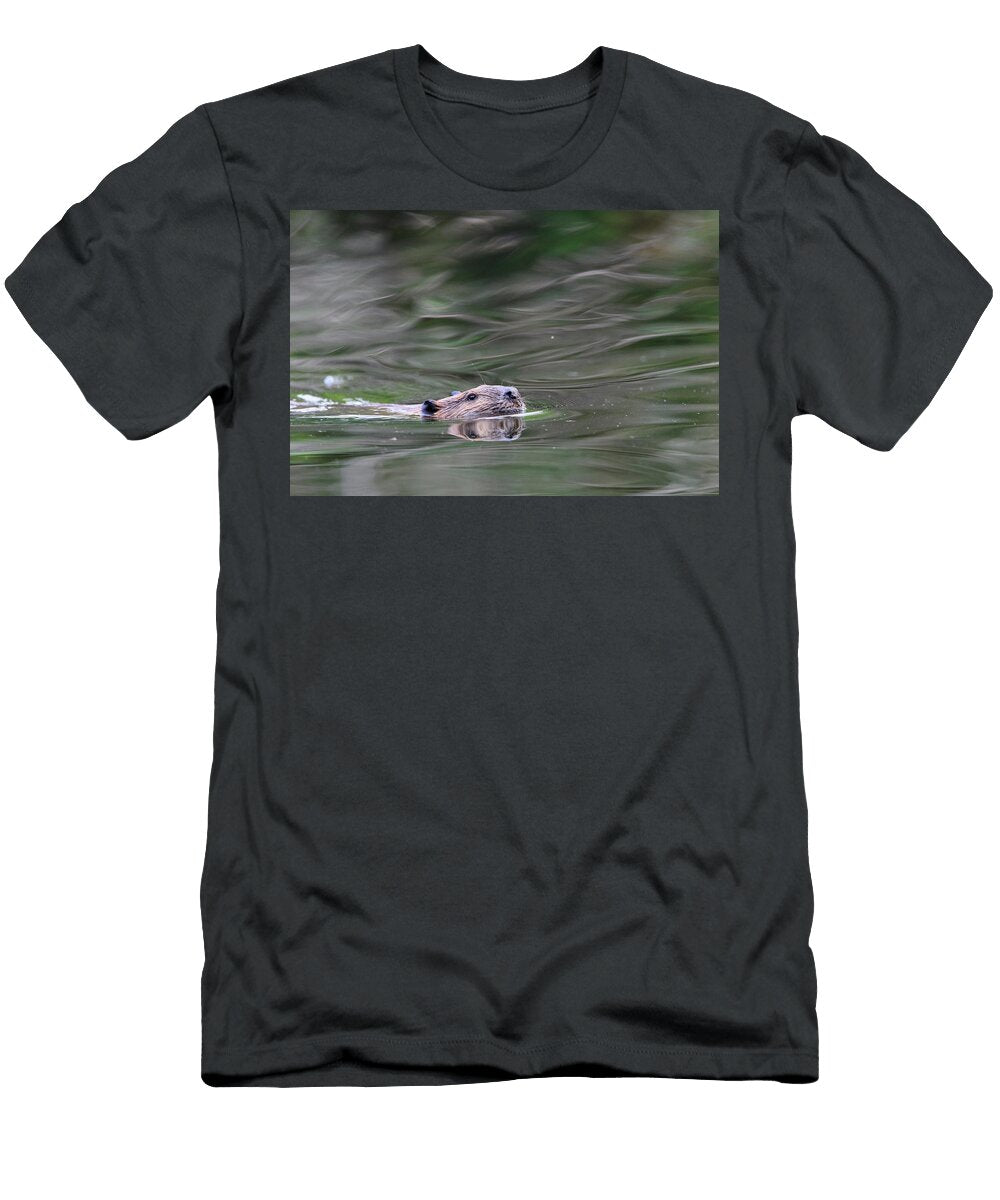 1 North American Beaver Swimming with Head Above Water Oscar Dewhurst Natureplcom T-Shirt