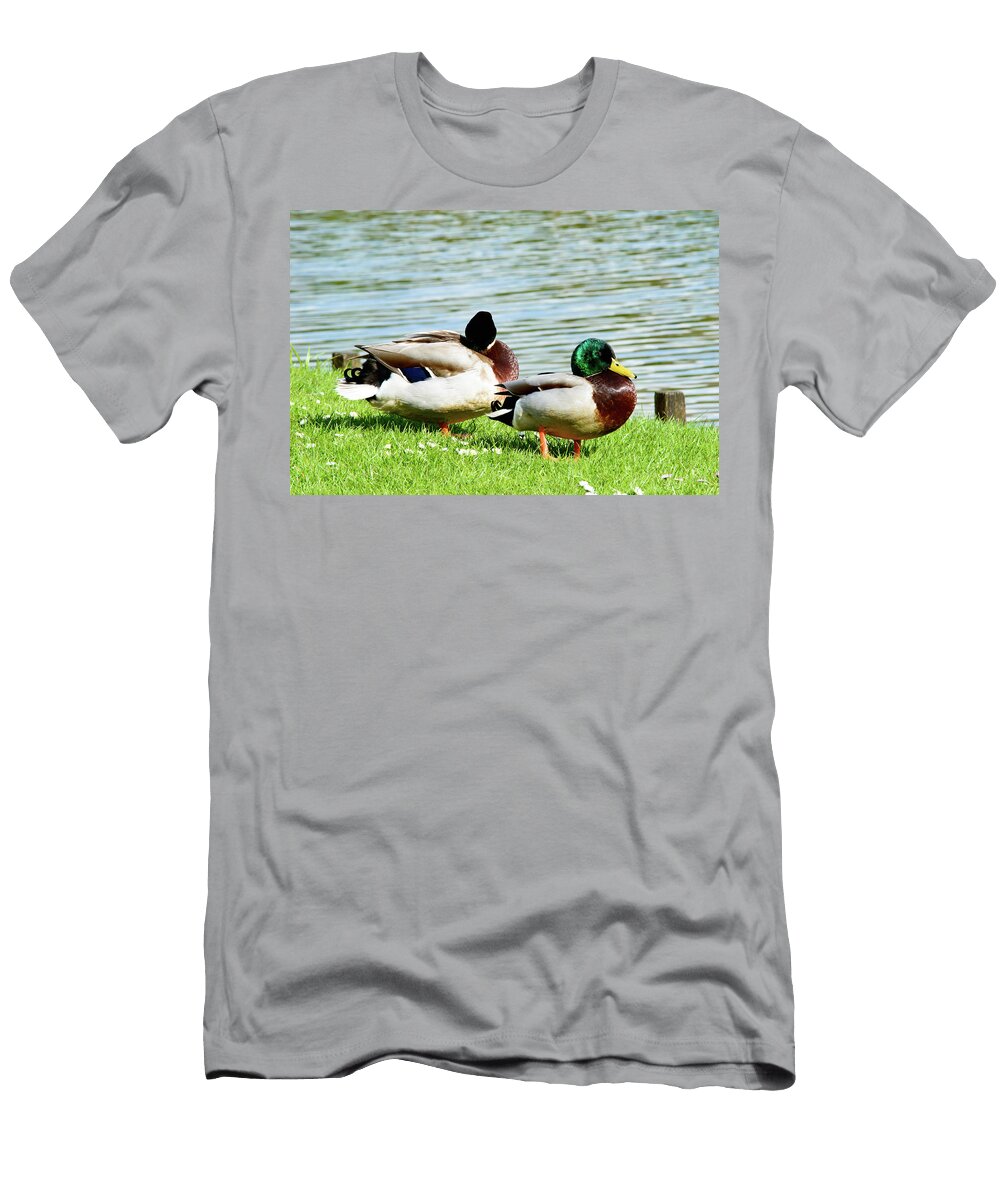 1 Pair of Cute Mallard Ducks Near Pond Johan Ferret T-Shirt