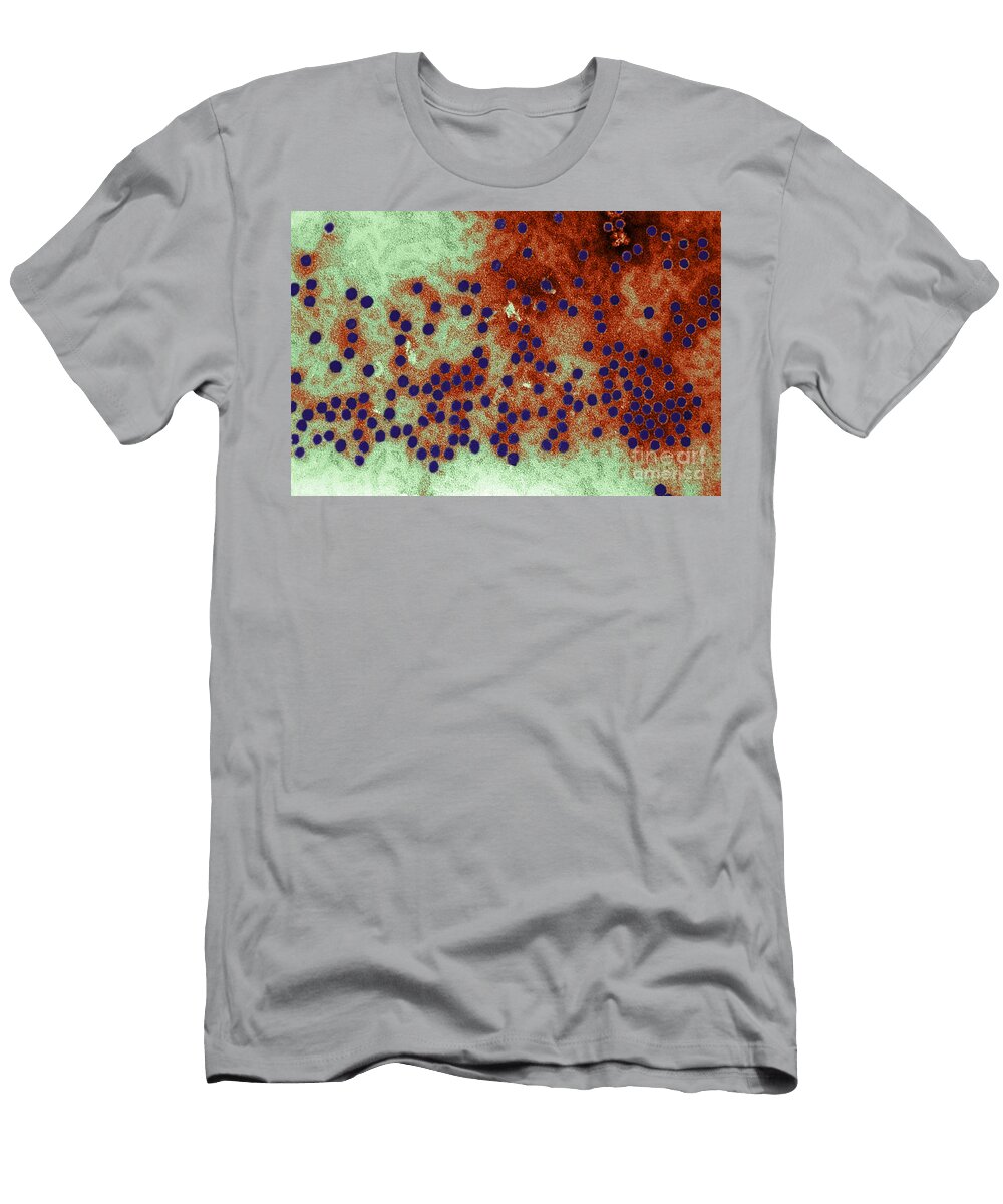 1 Parvovirus H 1 Em Science Source T-Shirt