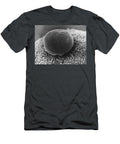 1 Polar Body on Hamster Ovum Sem David M Phillips T-Shirt