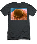 1 Polar Body on Ovum Sem David M Phillips T-Shirt