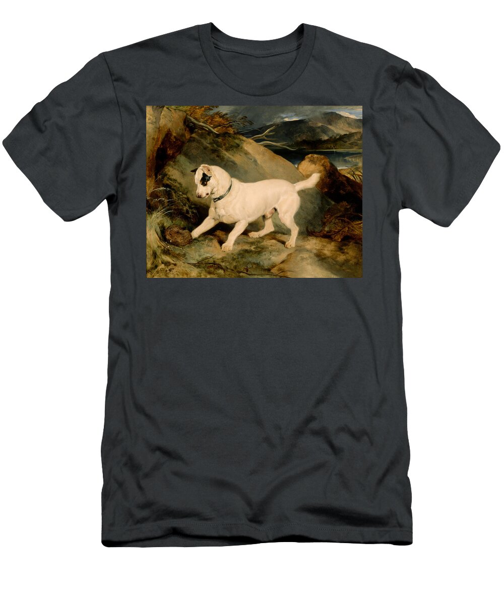 1 Portrait of a Terrier the Property of Owen Williams Esq M P Jocko with a Hedgehog Edwin Landseer T-Shirt