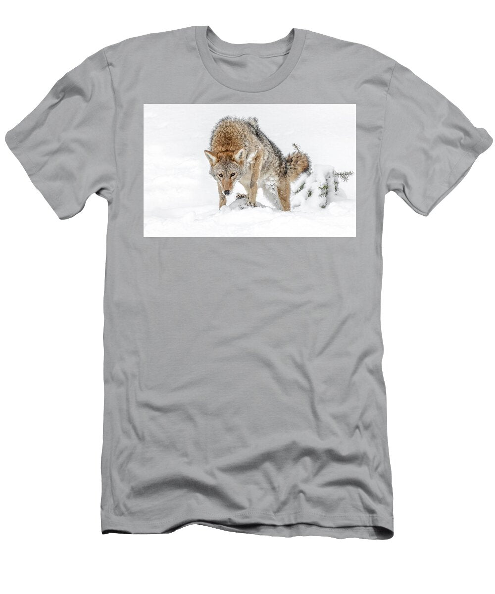 1 Ready to Rumble Athena Mckinzie T-Shirt