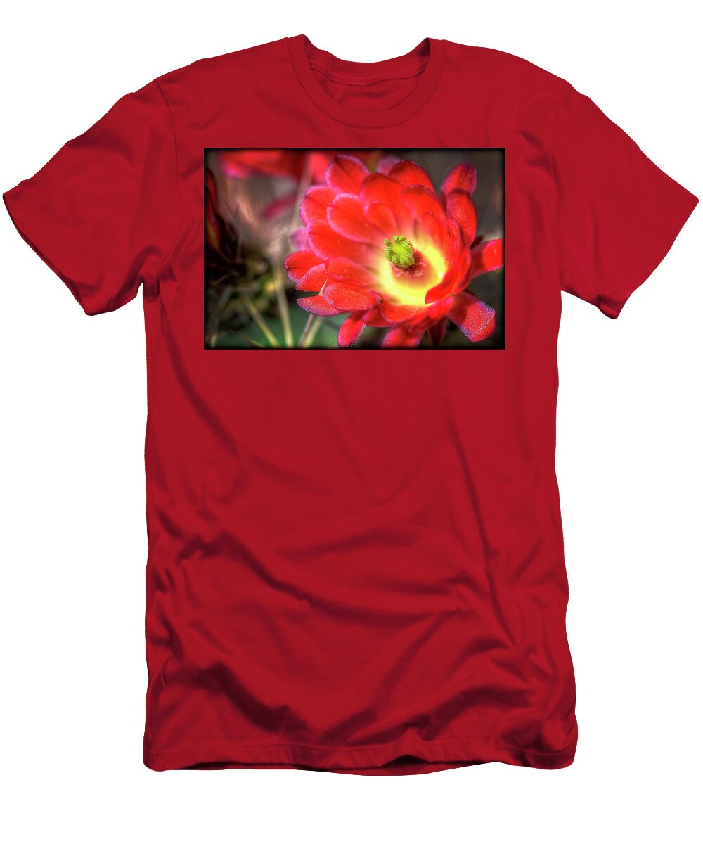 1 Red Hedgehog Saija Lehtonen T-Shirt