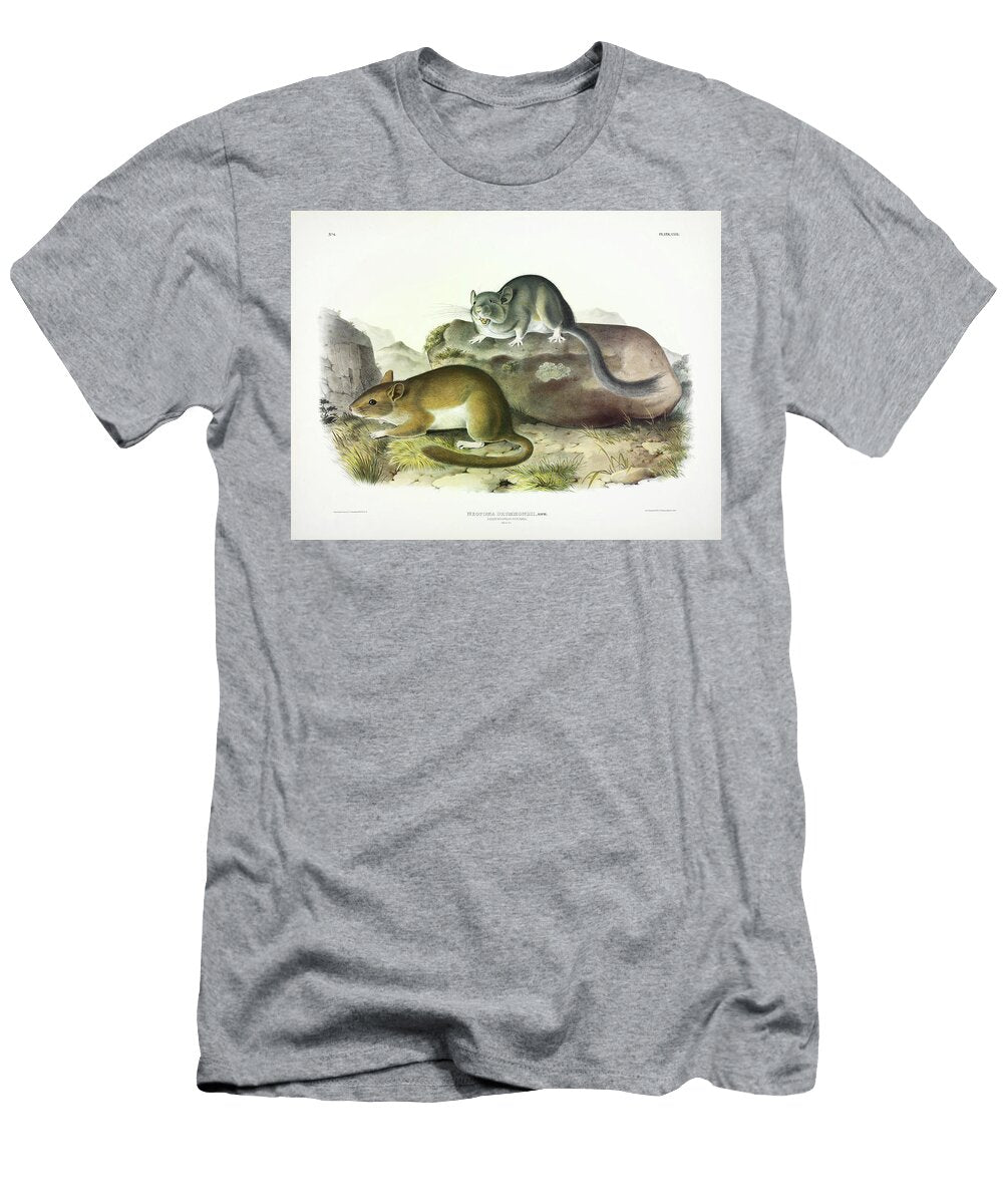 1 Rocky Mountain Neotoma John James Audubon T-Shirt