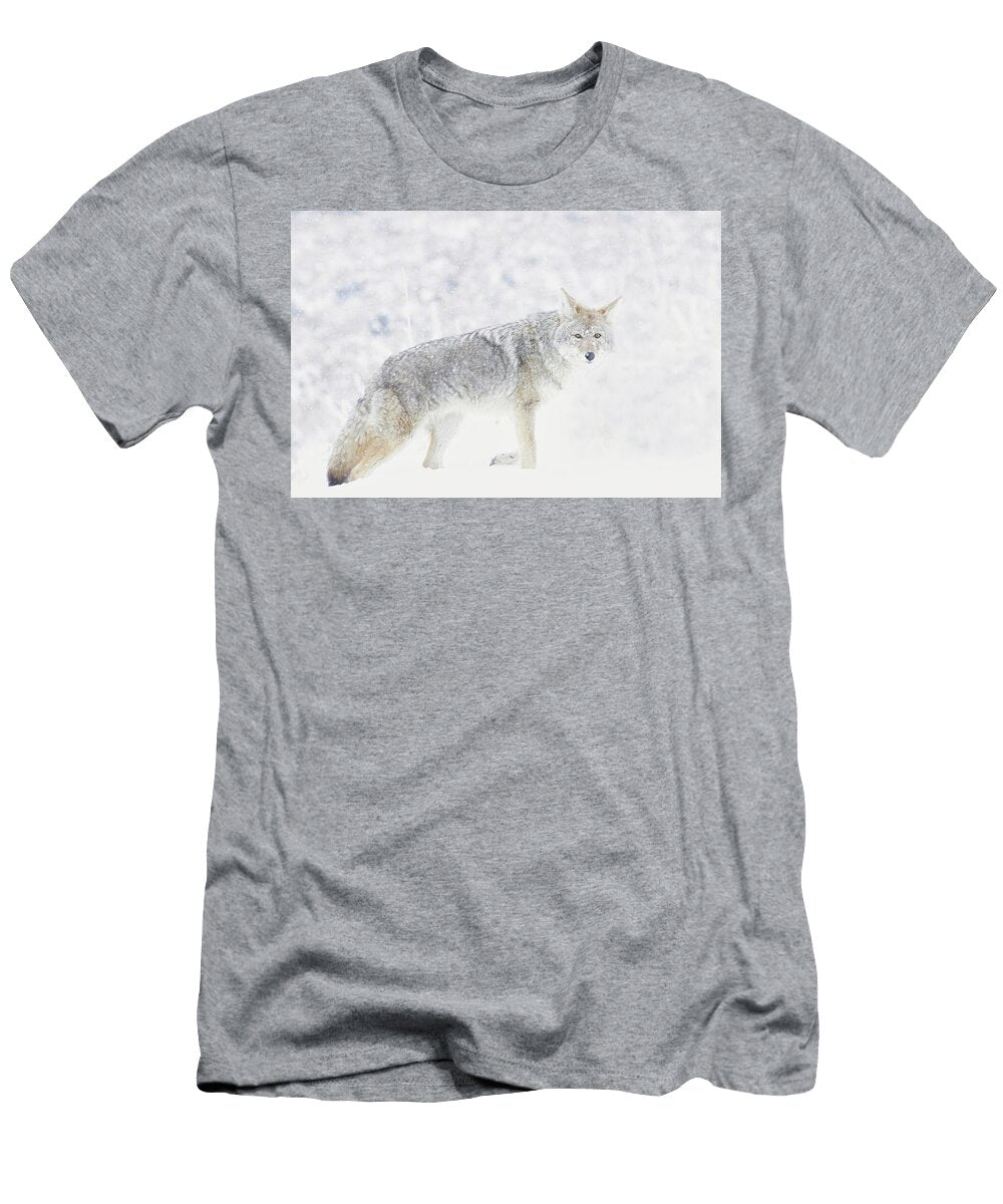 1 Snowy Coyote Isabella Smedley T-Shirt