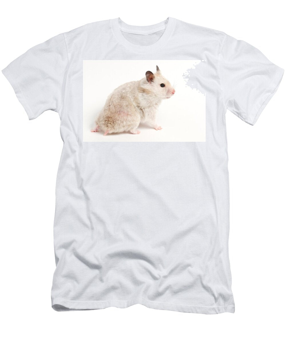 1 Syrian Hamster Mesocricetus Auratus David Kenny T-Shirt