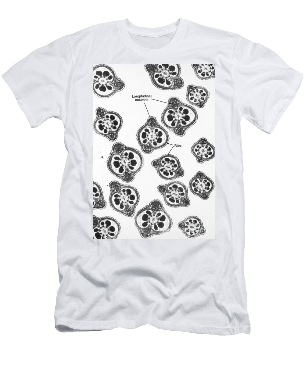 1 Tem of Chinese Hamster Spermatozoa David M Phillips T-Shirt