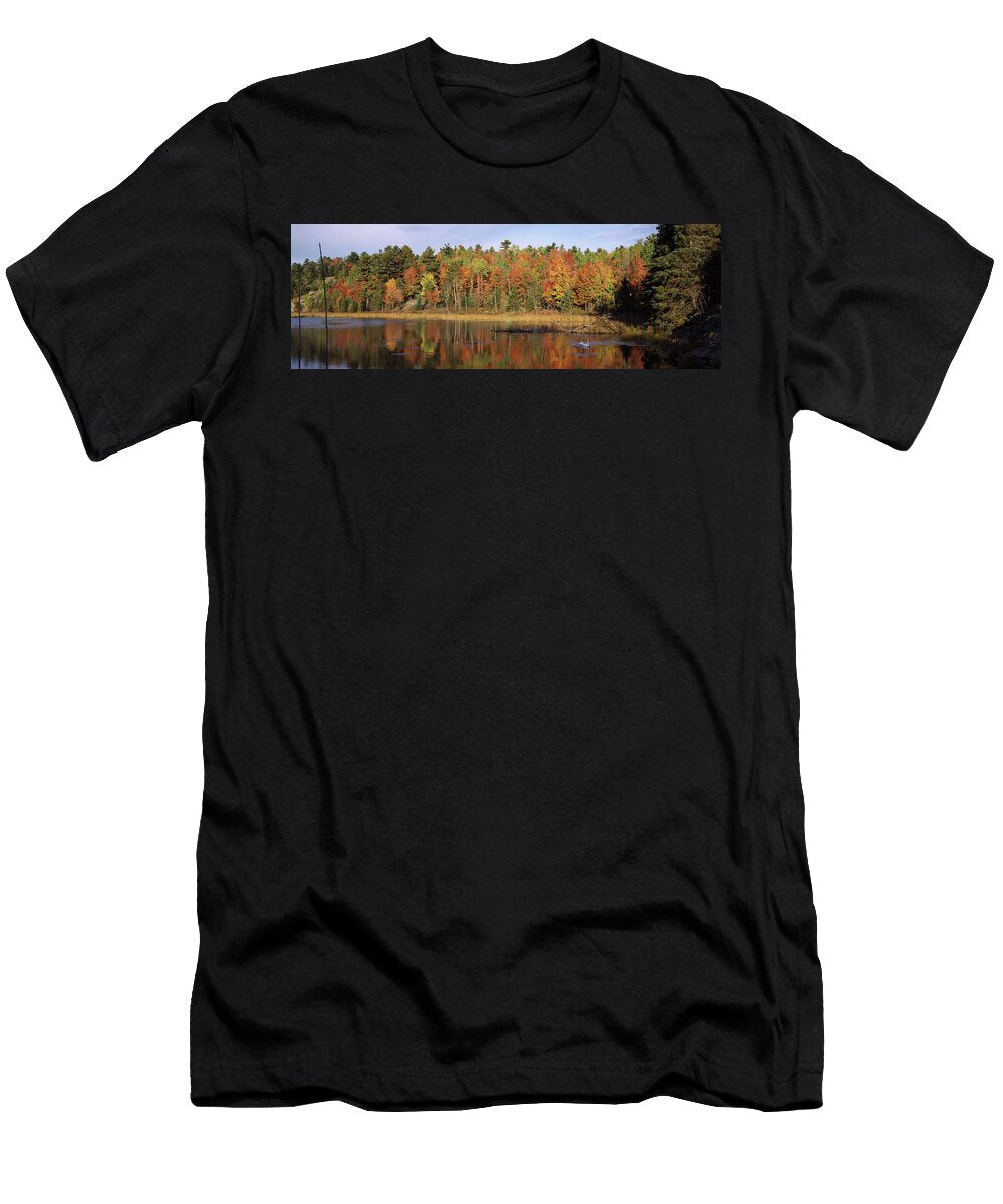 1 Trumpeter Swans Cygnus Buccinator Animal Images T-Shirt