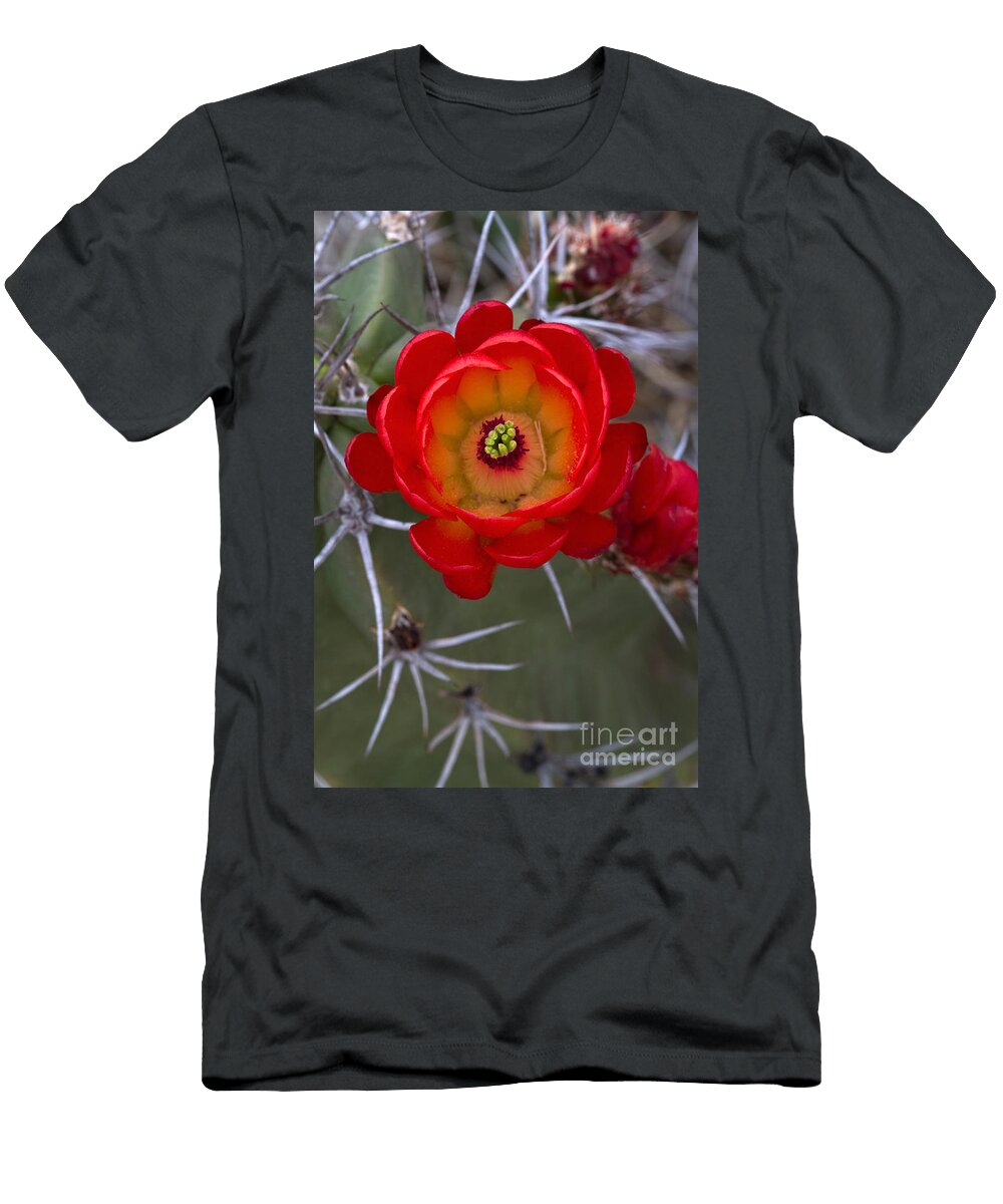 1 White Sands Claret Cup Cactus Kenneth M Highfill T-Shirt