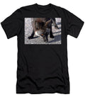 1 Wild Eyes David Lee Thompson T-Shirt