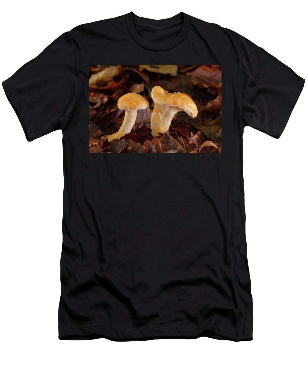 1 Wood Hedgehog Edible Mushrooms Among Leaf Litter in Dense Nick Upton Natureplcom T-Shirt