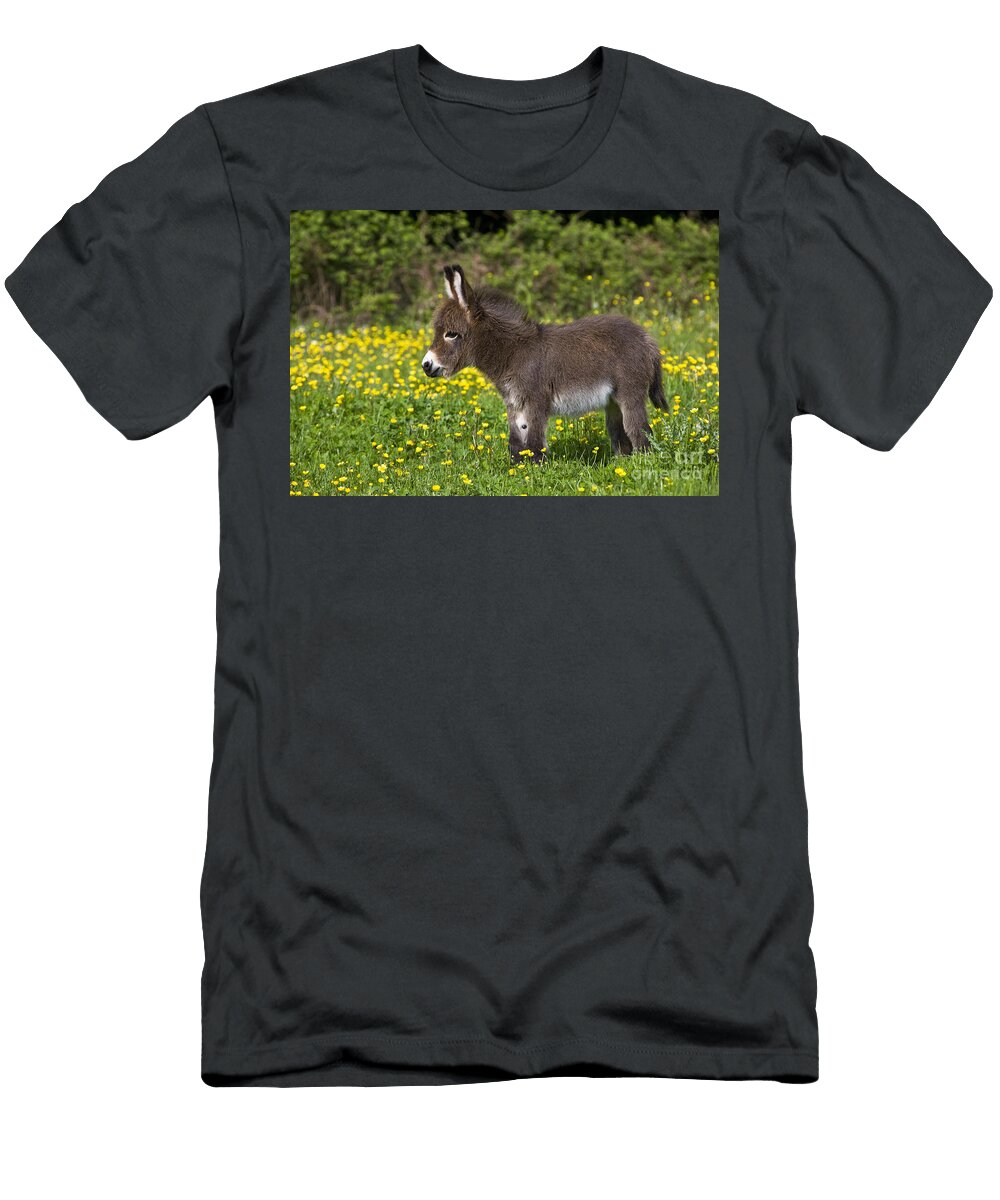 10 Miniature Donkey Foal Jean Louis Klein Marie Luce Hubert T-Shirt