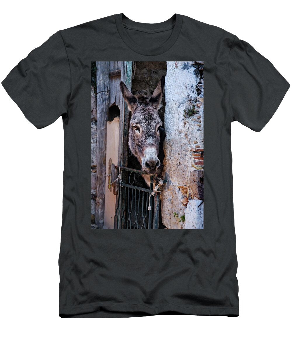 167 Wildlife Photography From My Travels Jeramy Hinfelaar T-Shirt