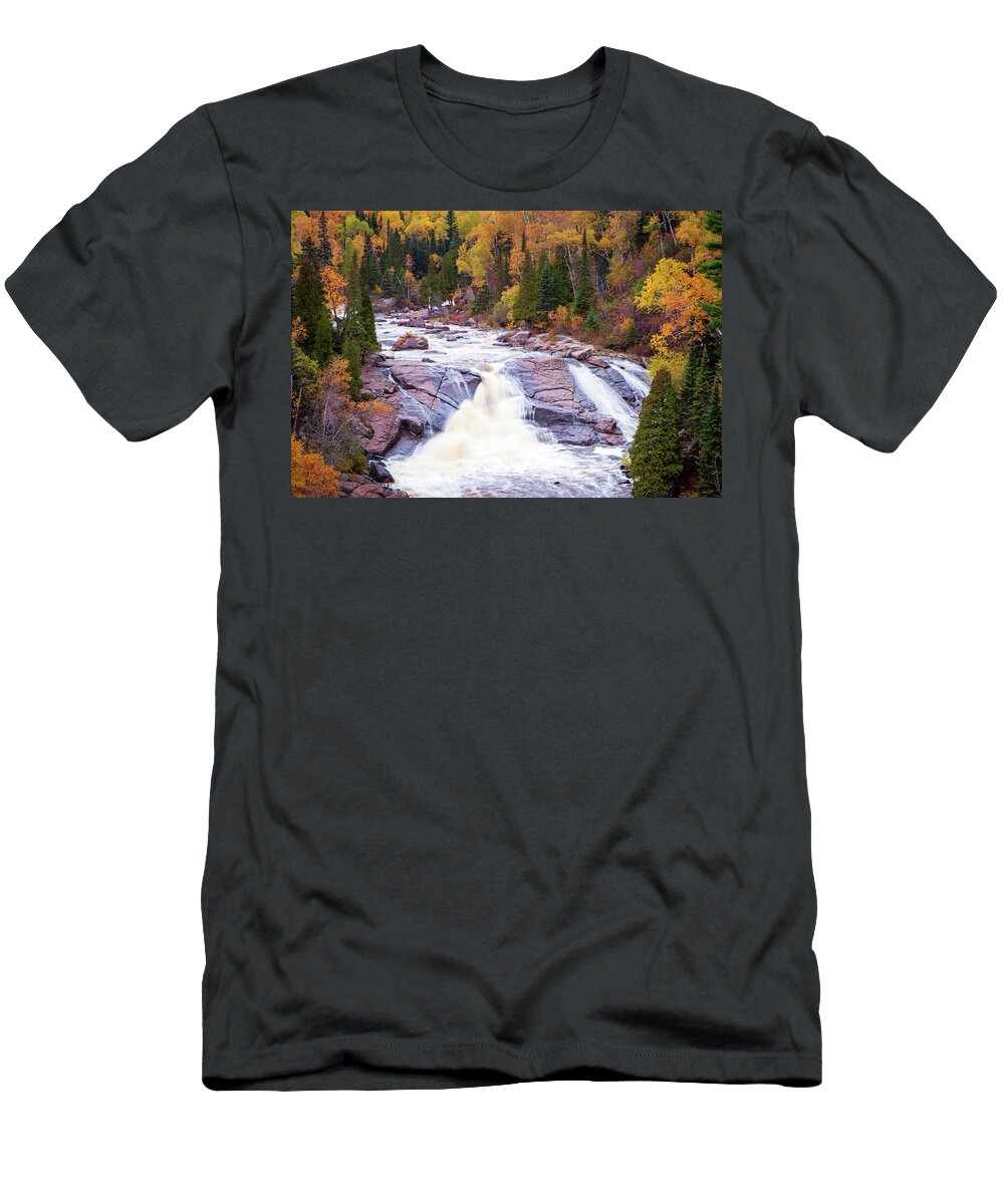 1684 Beaver Falls Steve Sturgill T-Shirt