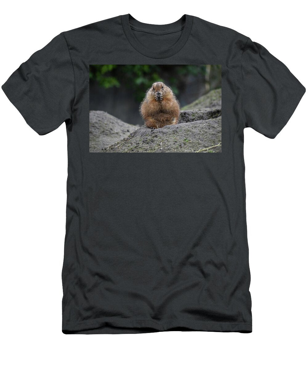 1707 Nature Les Classics T-Shirt