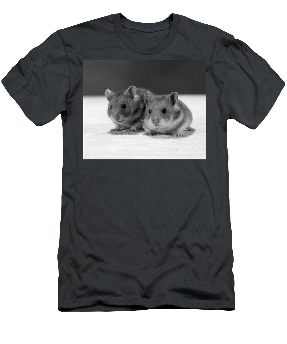 1960s Two Hamsters Sitting on Textured Vintage Images T-Shirt