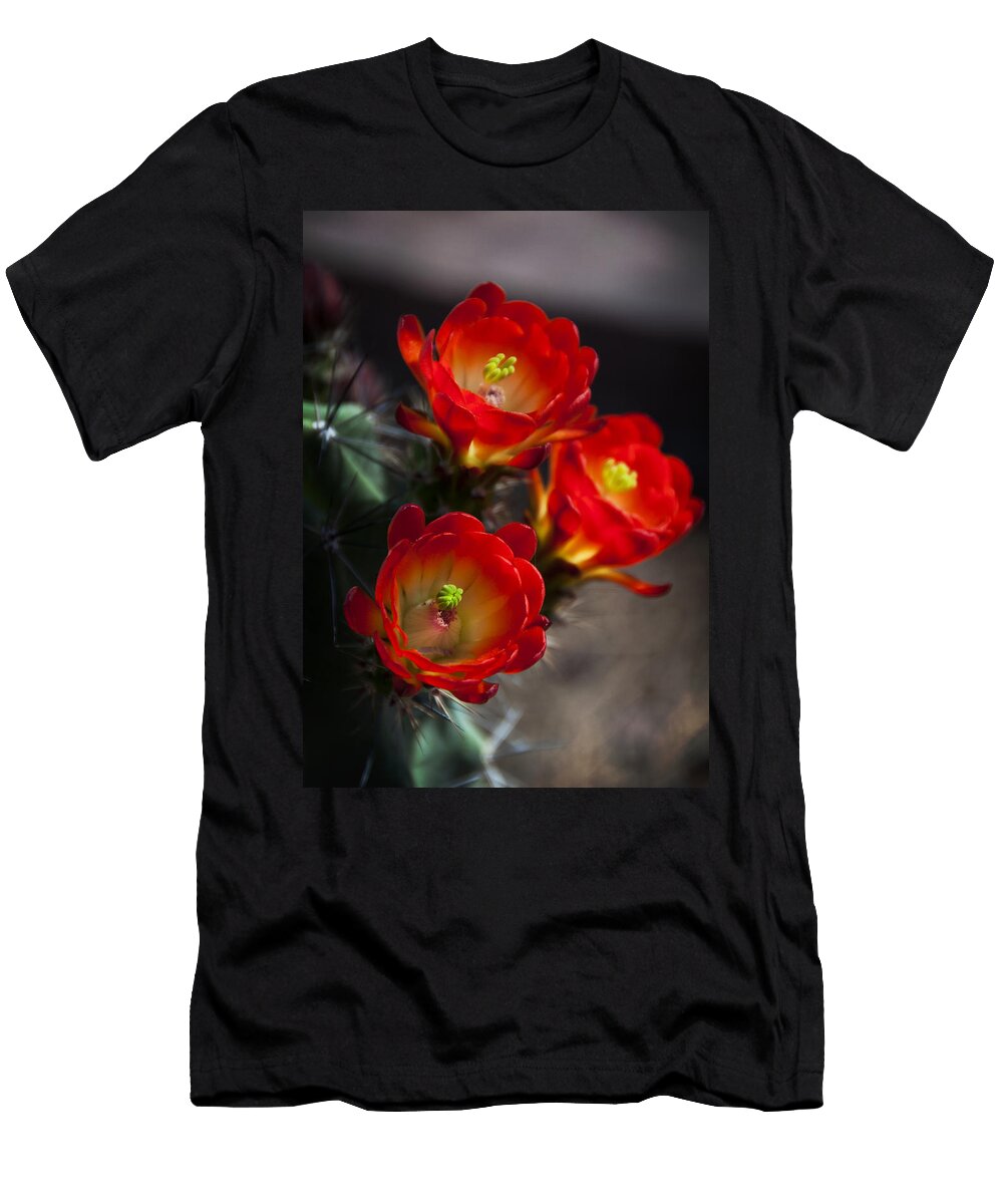 2 a Hedgehog Bouquet Saija Lehtonen T-Shirt