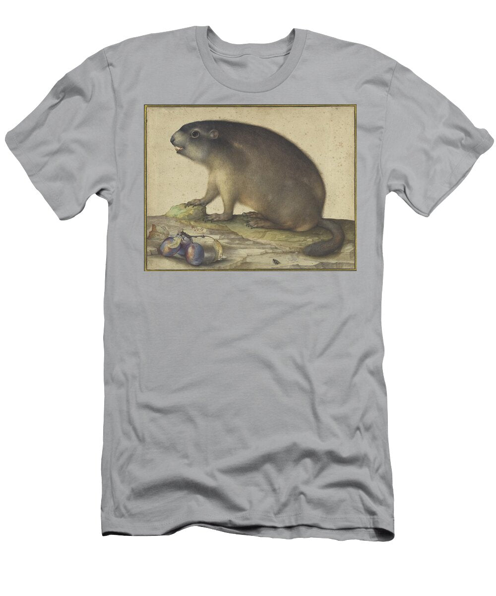 2 a Marmot with a Branch of Plums Jacopo Ligozzi T-Shirt