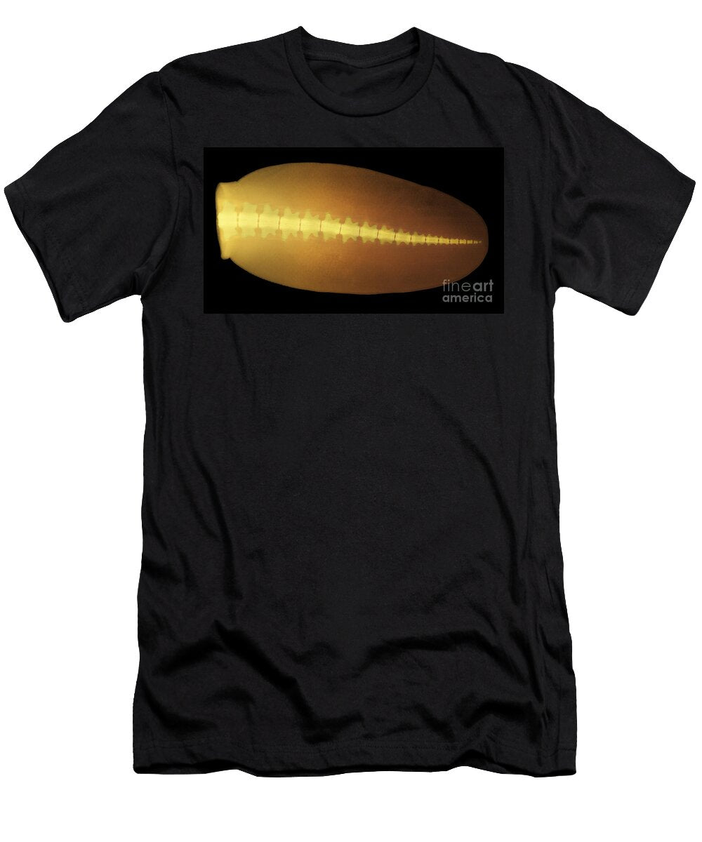 2 Beaver Tail X Ray Ted Kinsman T-Shirt