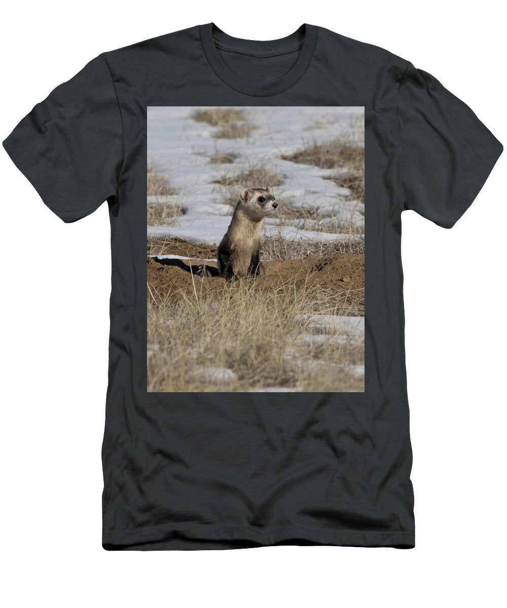 2 Black Footed Ferret Leaving a Black Tailed Prairie Dog Charlie Summers Natureplcom T-Shirt