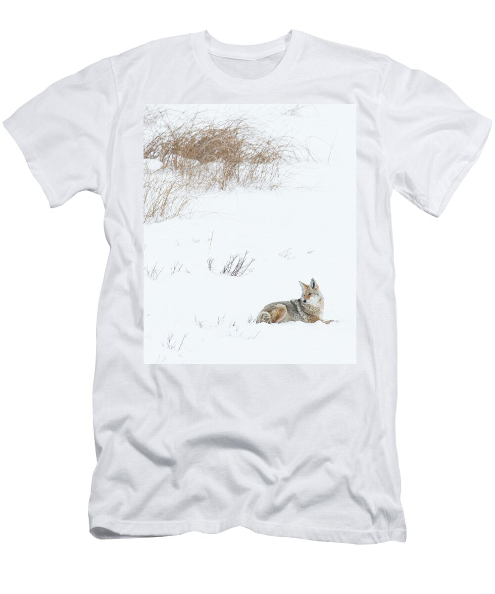 2 Coyote Canis Latrans Josh Miller T-Shirt