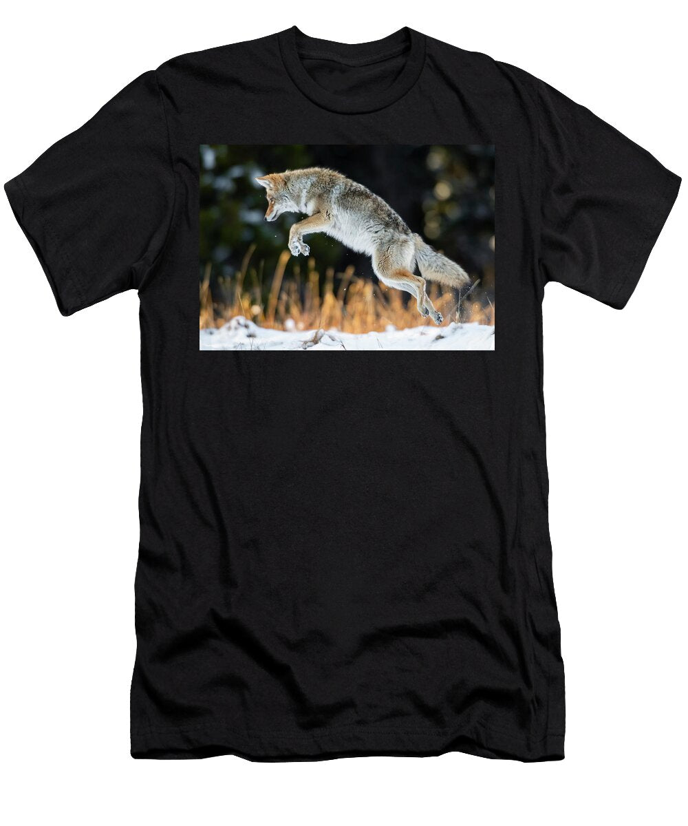2 Coyote Hunting After a Fresh Snowfall Yellowstone National George Sanker Natureplcom T-Shirt