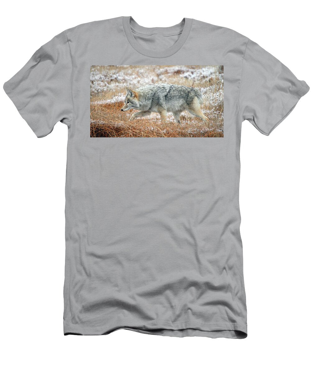 2 Coyote in Yellowstone National Park Pierre Leclerc T-Shirt