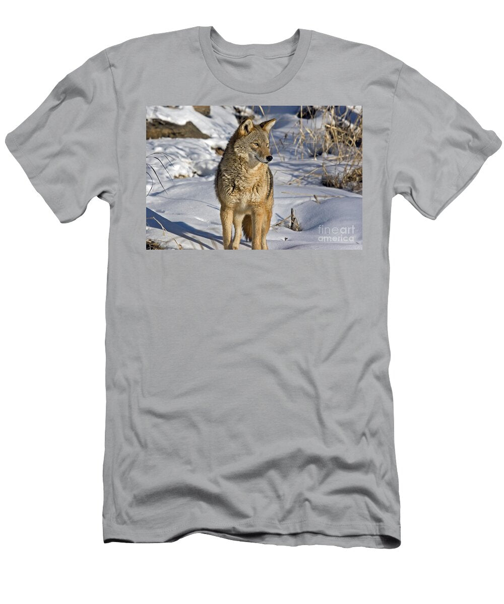 2 Coyote Linda Freshwaters Arndt T-Shirt