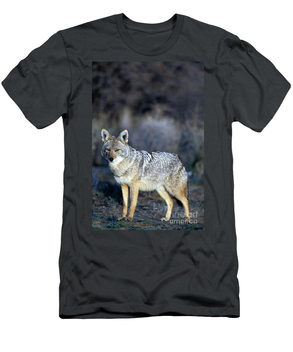 2 Coyote Mark Newman T-Shirt
