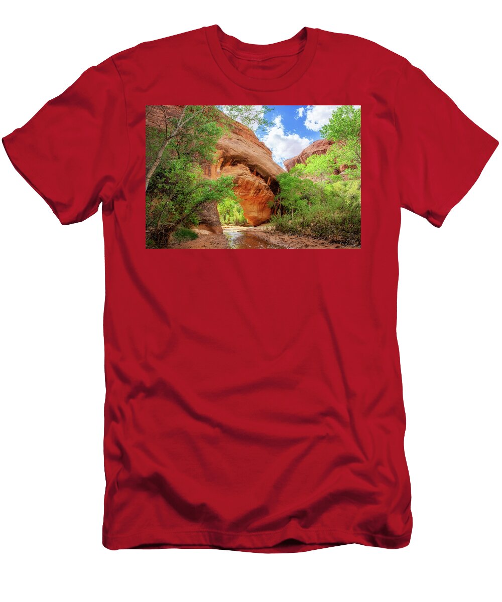 2 Coyote Natural Bridge Alex Mironyuk T-Shirt